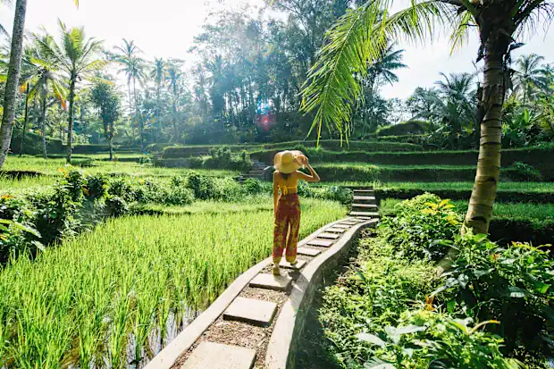 Visa Free Travel